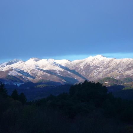 Bed and Breakfast L'Evidence Prades  Exterior foto