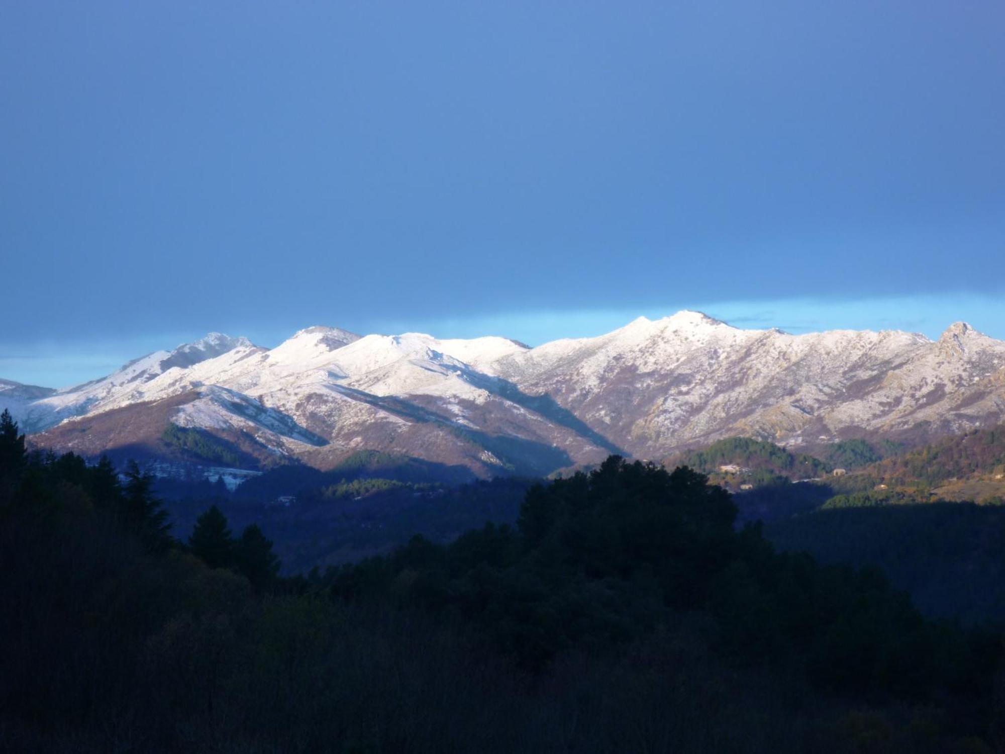 Bed and Breakfast L'Evidence Prades  Exterior foto