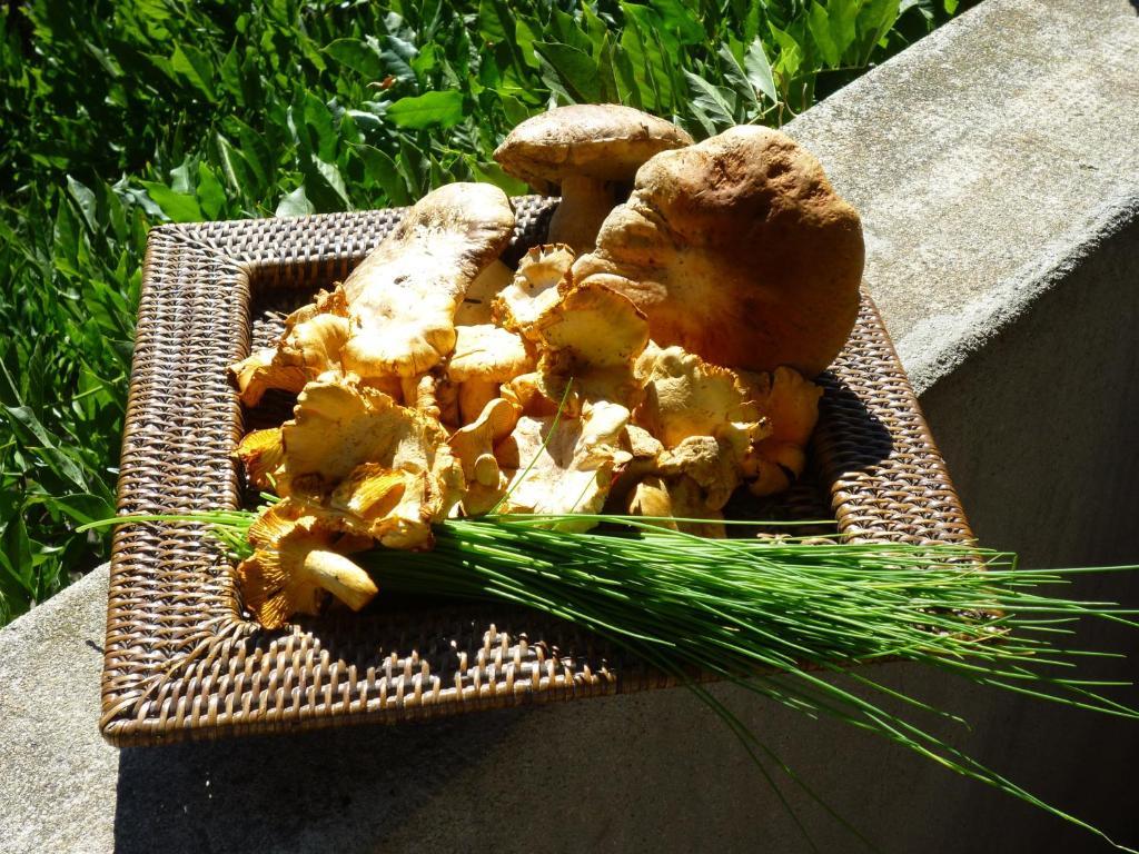 Bed and Breakfast L'Evidence Prades  Exterior foto